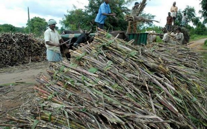 Indian Government Raises Sugarcane Price To Rs 315 NewsTrack English 1