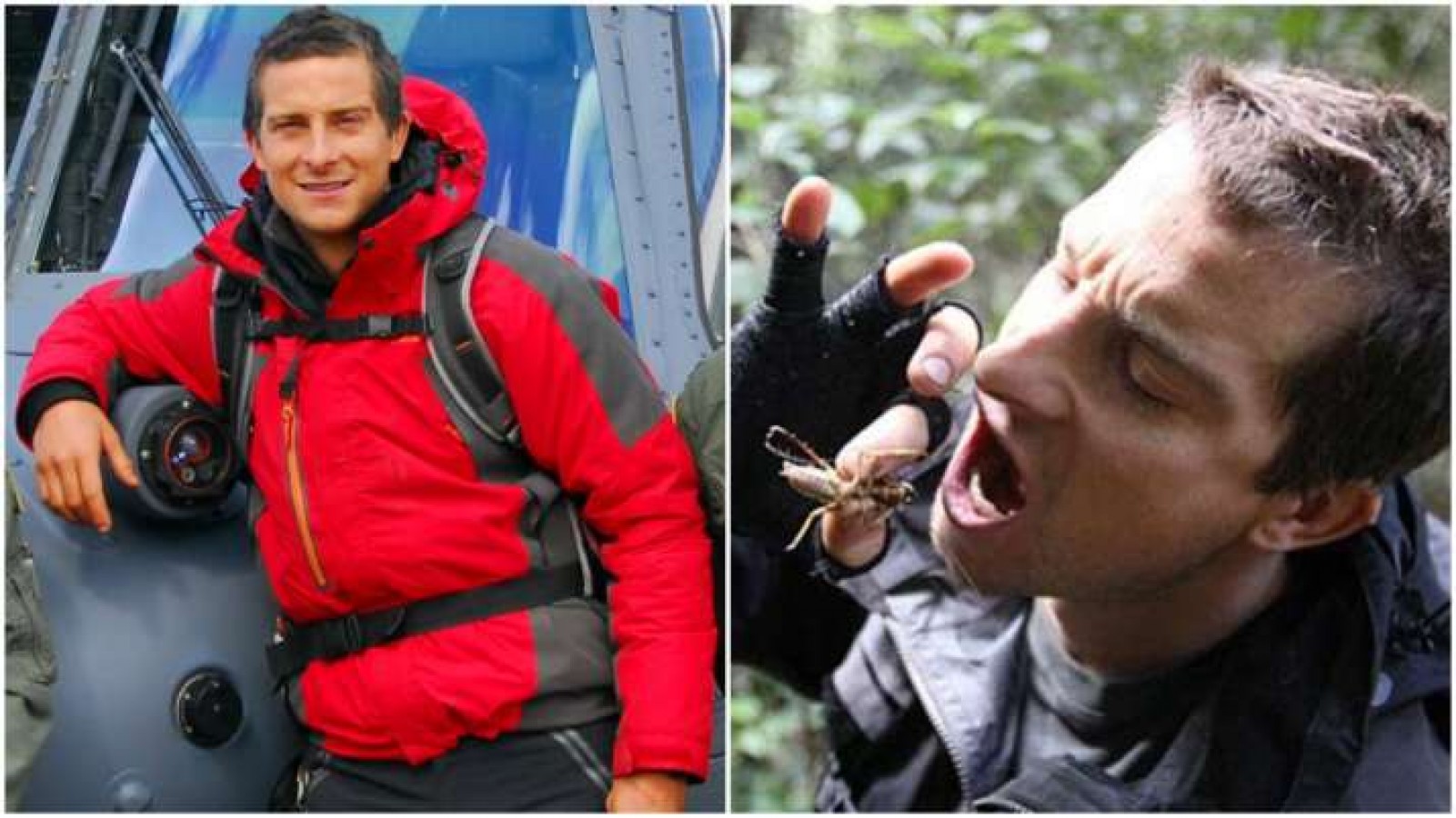 Bear Grylls used to cook food for the show at any time, now said this thing  | NewsTrack English 1