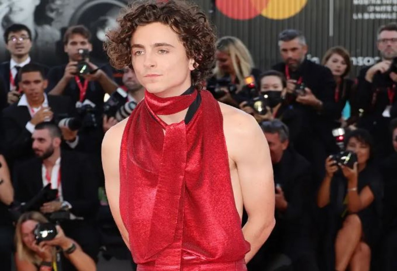 Timothée Chalamet Was Told Never Do a 'Superhero Movie