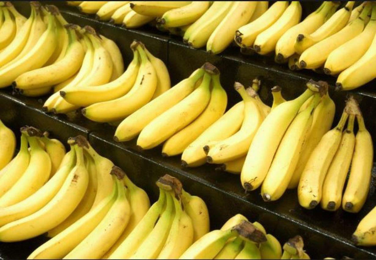 Bananas did you have. Желтый банан. Бананы на прилавке. Эквадорские бананы.
