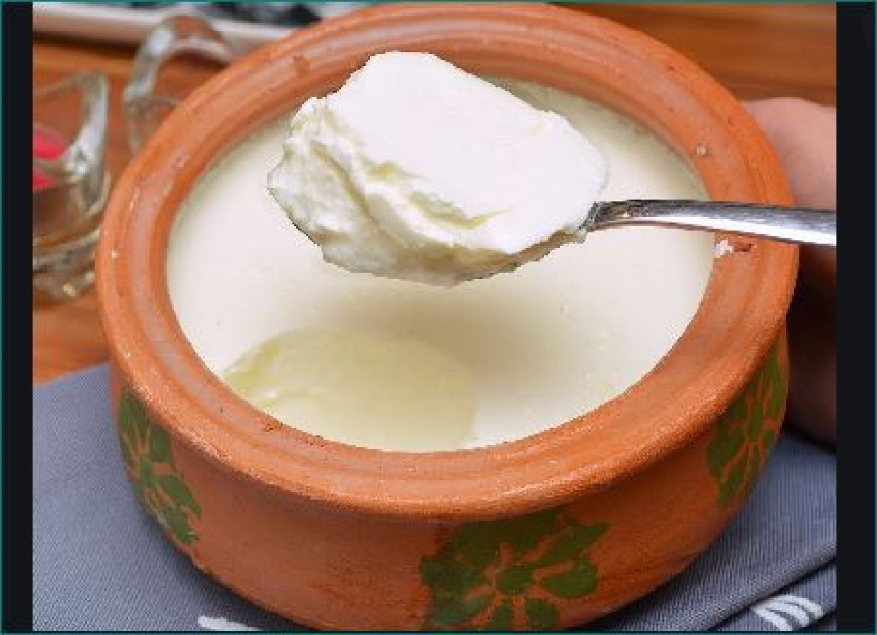 Make curd at home in 2 easy ways but keep these things in mind | NewsTrack  English 1