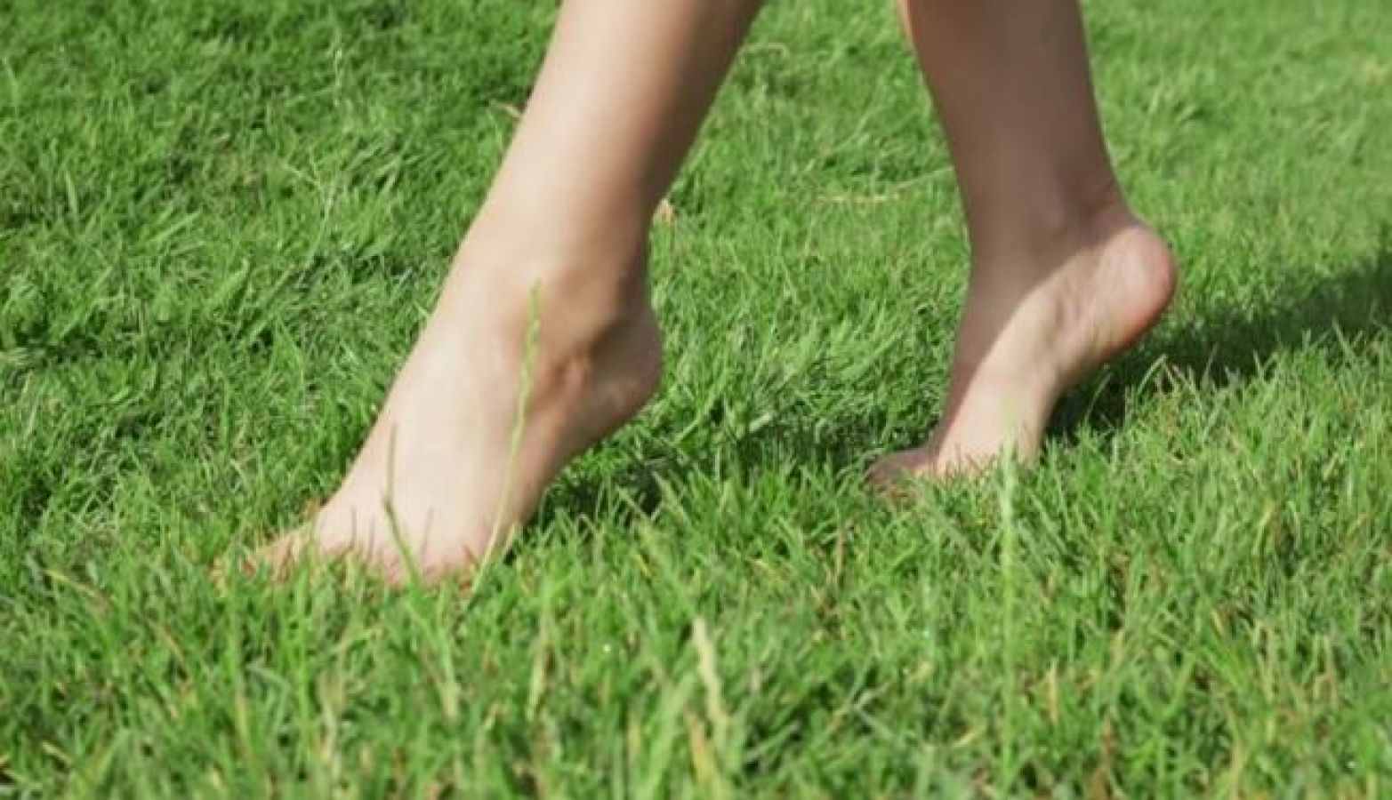 Ходить босиком удовольствие тире. Женщина ходит босиком голой. Barefoot girl on grass. Feet Walking on grass. Toes on grass.