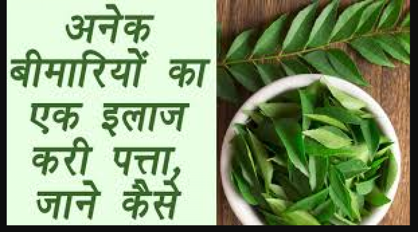 Know the benefits of curry leaves; helpful in hair growth | NewsTrack  English 1