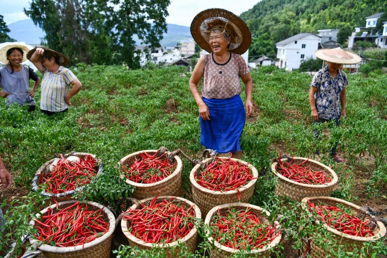 сельский китай