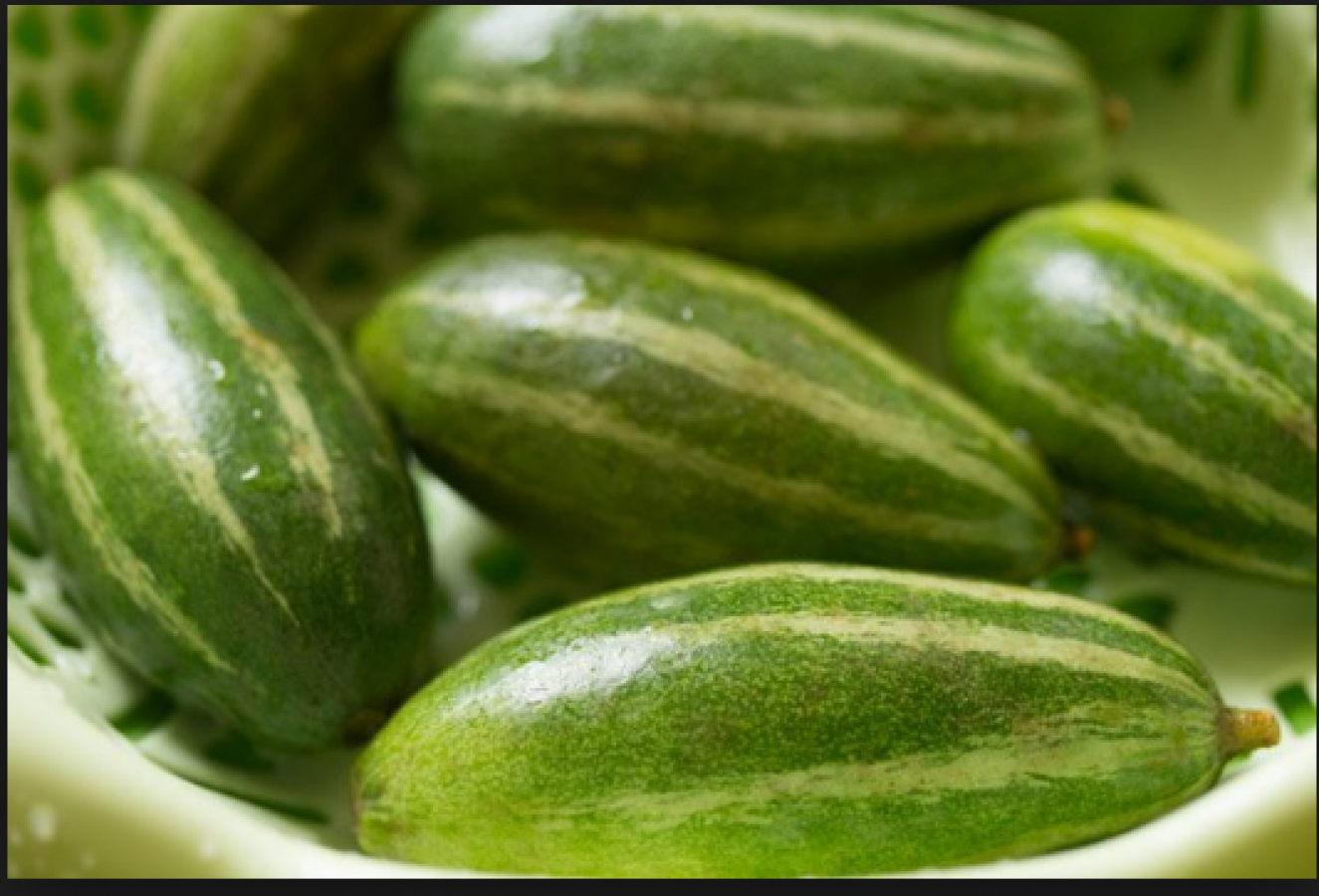 By clearing Constipation Pointed Gourd helps to Cleanse Blood, These Are Other Benefits | NewsTrack English 1
