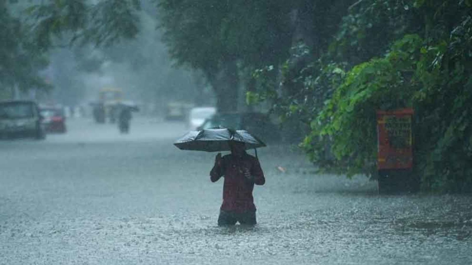 Тяжелый дождь. Heavy Rain weather. Heavy rainfall. Monsoon weather. Downpour Rain.