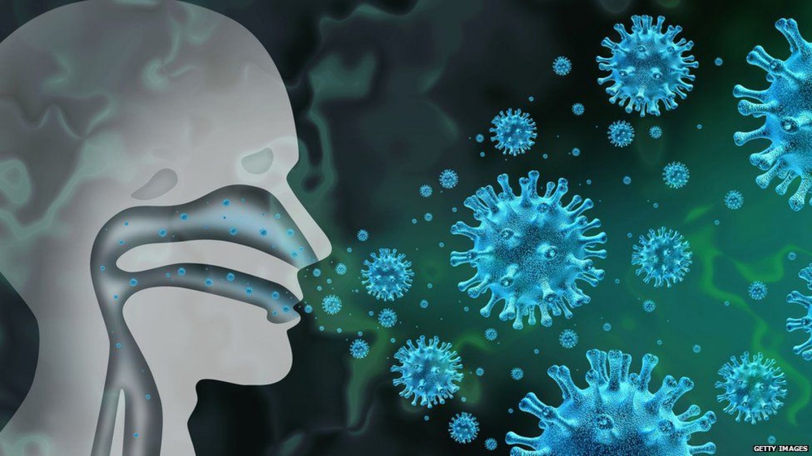 Вирус гриппа человека