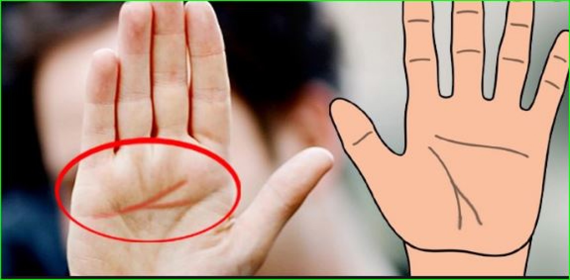 types of hands in palmistry