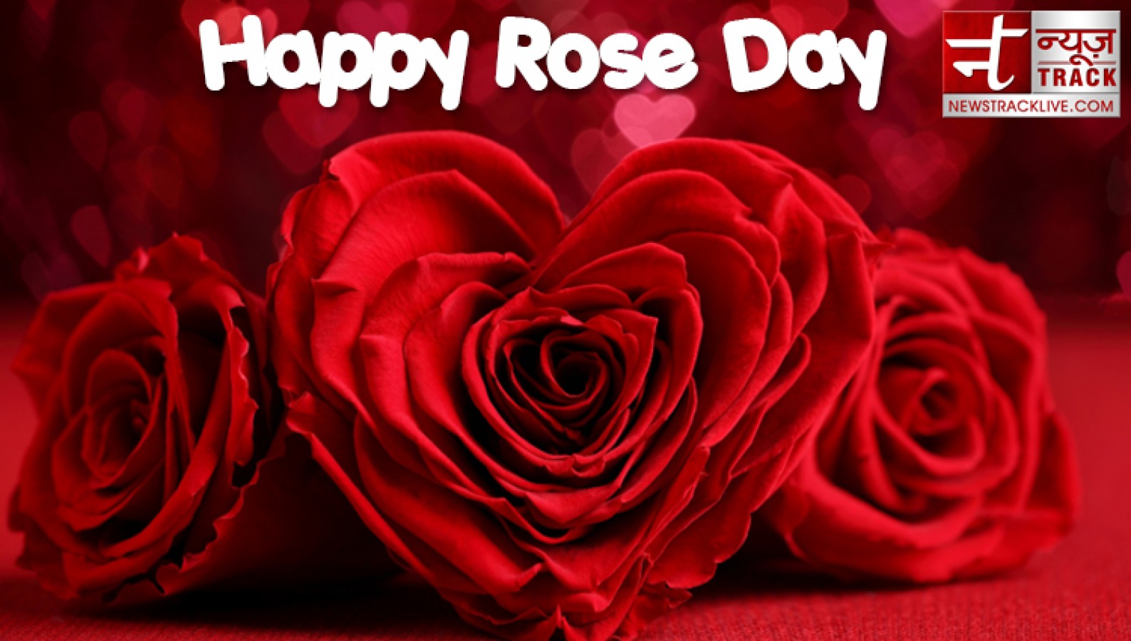 Rose day 2020: Rose day quotes to make this Rose Day special ...