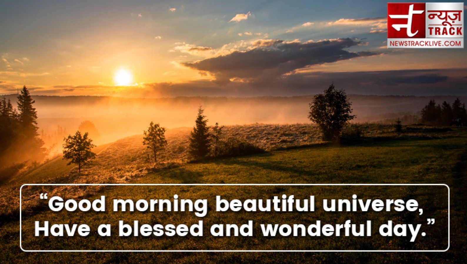 These beautiful good morning quotes will make your day marvellous |  NewsTrack English 1