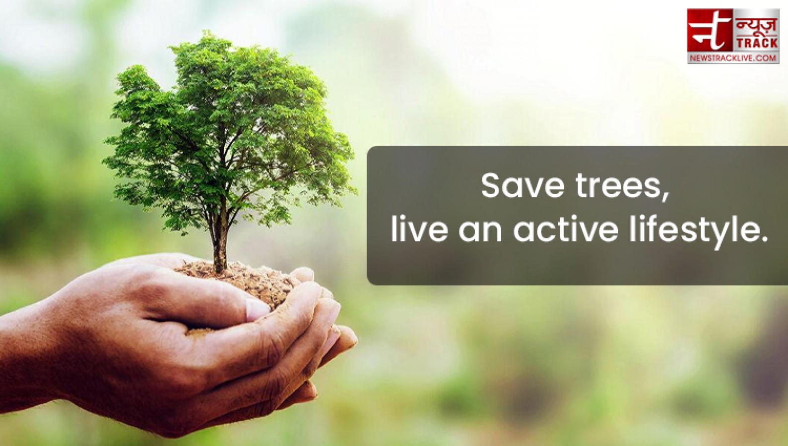 Quote on Tree : Plant a tree today, It will help us breathe ...