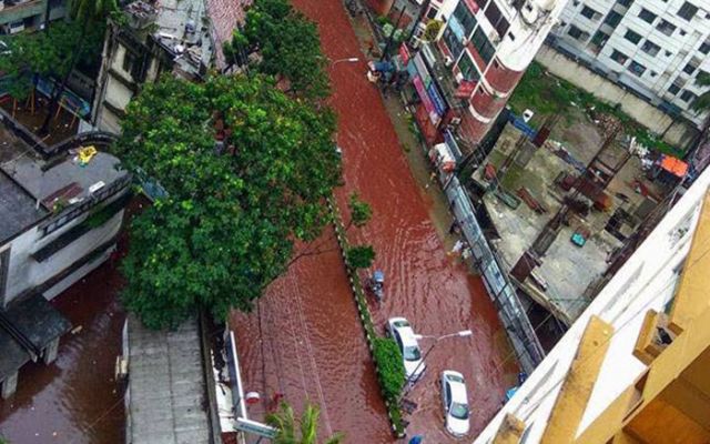 Eid Al-aadha:Sight of rivers of blood in Dhaka surely makes everyone tremble