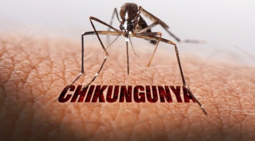 Number of deaths due to chikungunya touched 10