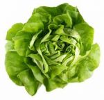 Lettuce -- Why You Should Eat it?