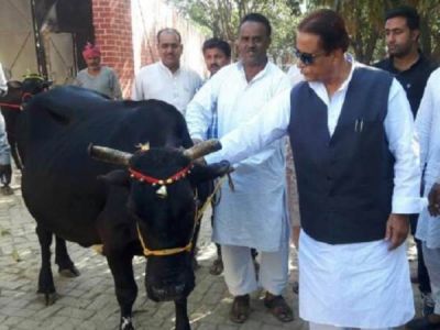 आजम खान ने लौटाई शंकराचार्य की गाय, बदनाम करने के लिए करवा सकता है हत्या