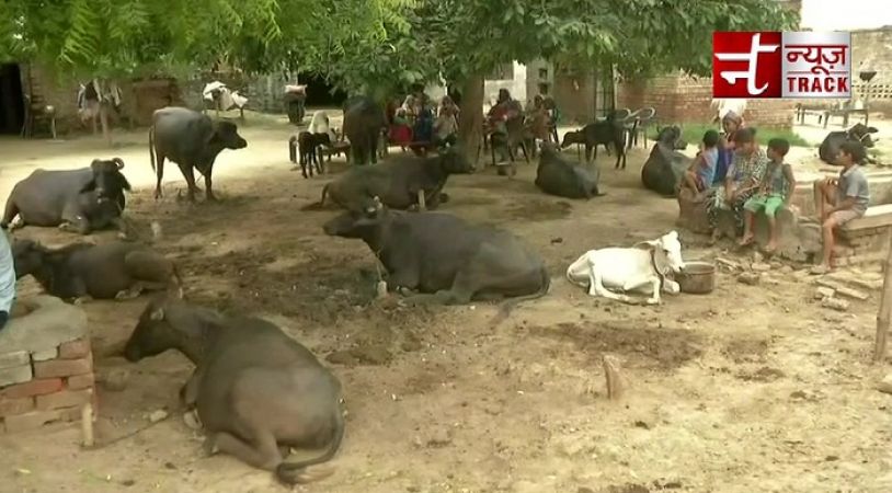 Mob Lynching Case: 1 person beaten to death on suspicion of cattle theft