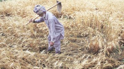 ये हैं भारतीय किसानों की बड़ी समस्याएं