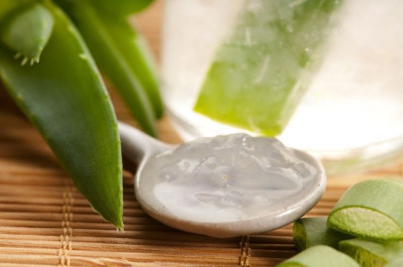 If you are troubled by gum pain, then use aloe vera