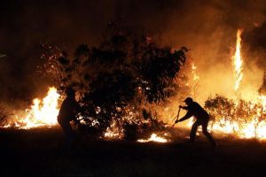 चिली: जंगलों में 50,000 हेक्टेयर क्षेत्र में भीषण आग