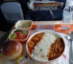 Morphine found in Air India food trolley, probe initiated