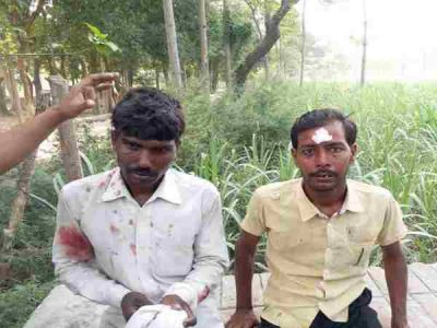 आदमखोर कुत्तों के बाद सीतापुर में फैला तेंदुए का खौफ