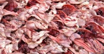 कलकत्ता :  6 टन सड़ा मांस पकड़े जाने के बाद मचा हड़कंप