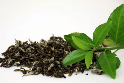 चाय की पत्तियों से होगा कैंसर का इलाज