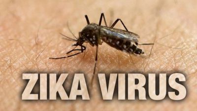 WHO ने जीका वायरस के अहमदाबाद में तीन केस बताए