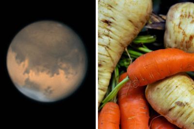 अब मंगल पर सब्जियां उगाने की तैयारी कर रहे वैज्ञानिक