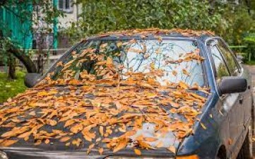 कार टिप्स: अगर आप अपनी कार को लंबे समय तक पार्क करते हुए छोड़ देते हैं, तो होंगी ये समस्याएं, ऐसे बरतें सावधानियां