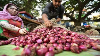 Onion prices reach near 150 rupees per kg