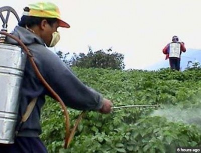 Government to send fake pesticide makers and sellers to jail, will introduce pesticide management bill