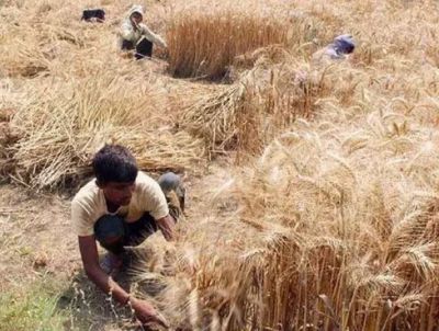 Expectation of heavy yields in Rabi season increased storage concern