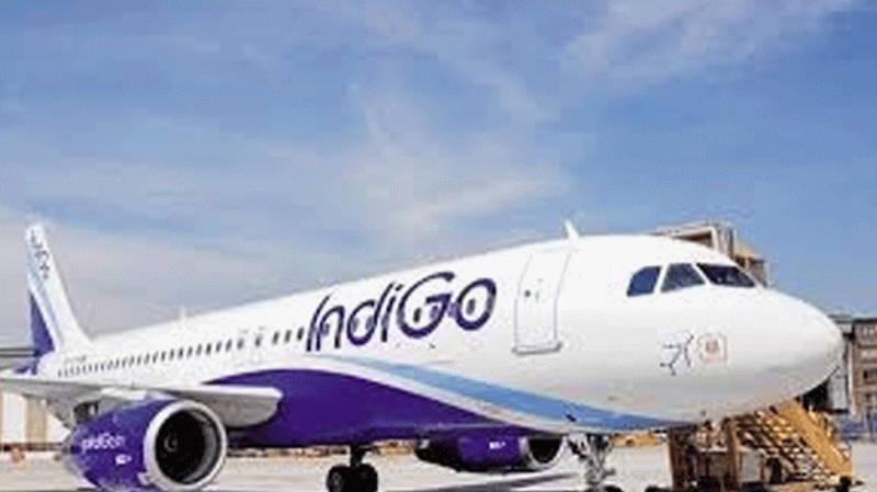 IndiGo पर लॉक डाउन की मार, 25 फीसद तक वेतन कटौती करेगी एयरलाइन