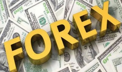 India's foreign exchange reserves rose sharply along with gold
