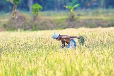 PM-Kisan: 7.92 crore farmers got big relief, first installment credited in bank accounts