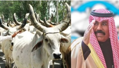 This Islamic country became a fan of 'cow'