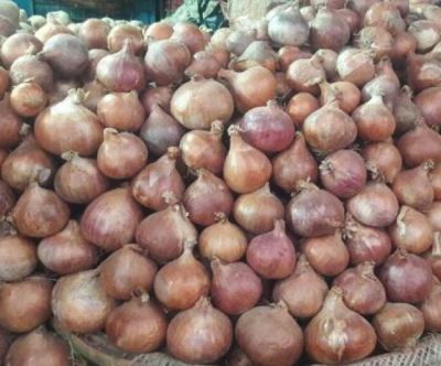 Price of onion double; higher than apple