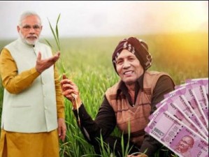 अगर पीएम किसान योजना के तहत पाना है 6000 रुपए, तो 31 मार्च से पहले कर लें ये काम