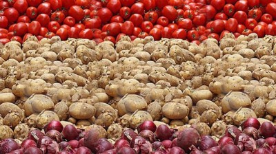Potatoes-Tomatoes to be costlier, Agriculture Ministry's estimate increases common man's anxiety