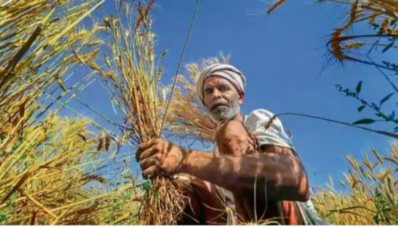 PM Kisan Nidhi: Do these things before November to get the next instalment in November