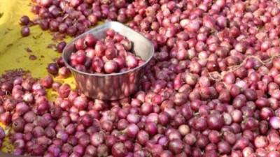 Indian Government allows Bangladesh to export onions