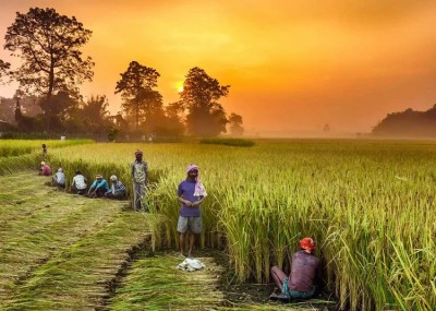 आरबीआई ने किया व्यक्तिगत किसानों के लिए ऋण सीमा बढ़ाने का फैसला