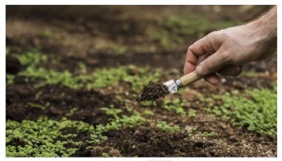 Scientists Develop The 'Esoil,' An Electronic Soil That Enhances Crop Growth