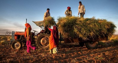 Economic Survey 2021: Agri sector may grow 3.4pc this crop year