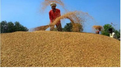 Centre claims 12-Lakh farmers will benefit from paddy procurement in KMS 2021-22
