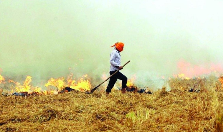 Punjab to implement biofuel schemes to avoid stubble burning