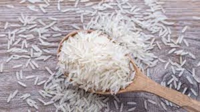 Workshop to increase the Organic Basmati rice share, BEDF