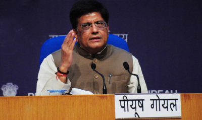 Services exports to scale up USD 300 bn target for this fiscal, says Goyal