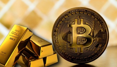 Future Currency or New Gold: Bitcoin
